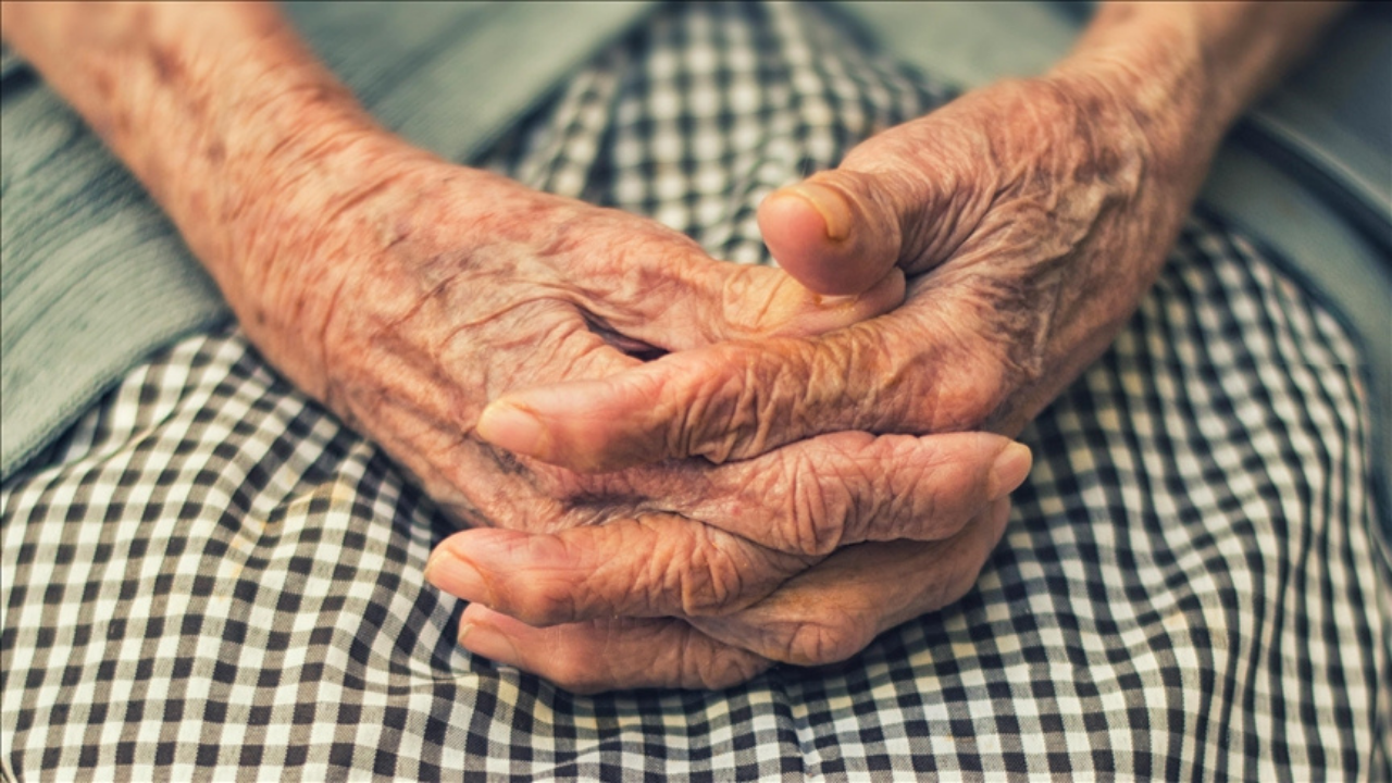 Türkiye Yaşlanan Nüfus Sorunuyla Karşı Karşıya (2)