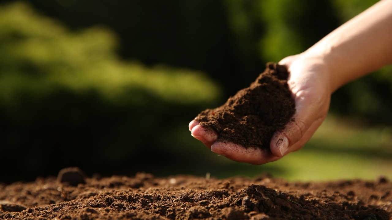 Türkiye Yeşil Alan Oranı %1’In Altında Sağlıklı Şehirler İçin Sağlıklı Topraklar Lazım (3)