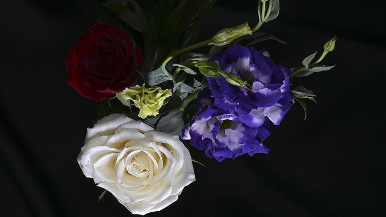 Yılbaşına Rekor Satış 12 Milyon Dolarlık İhracat (1)