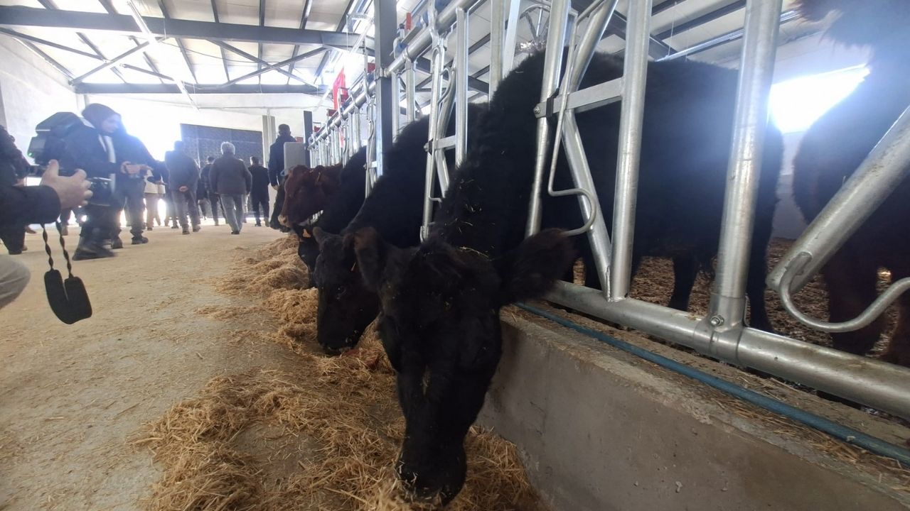 Yozgat Valisi Özkan’dan Kırsalda Bereket Projesine Yerinde İnceleme (2)