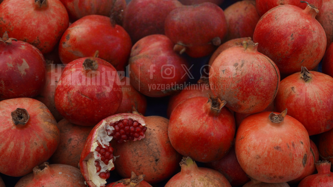62 Ülkeye Ulaştı, Rekor Eşiği Aşıldı Türkiye’de Üretilen Bu Meyve Dünya Pazarında Dikkat Çekti (2)