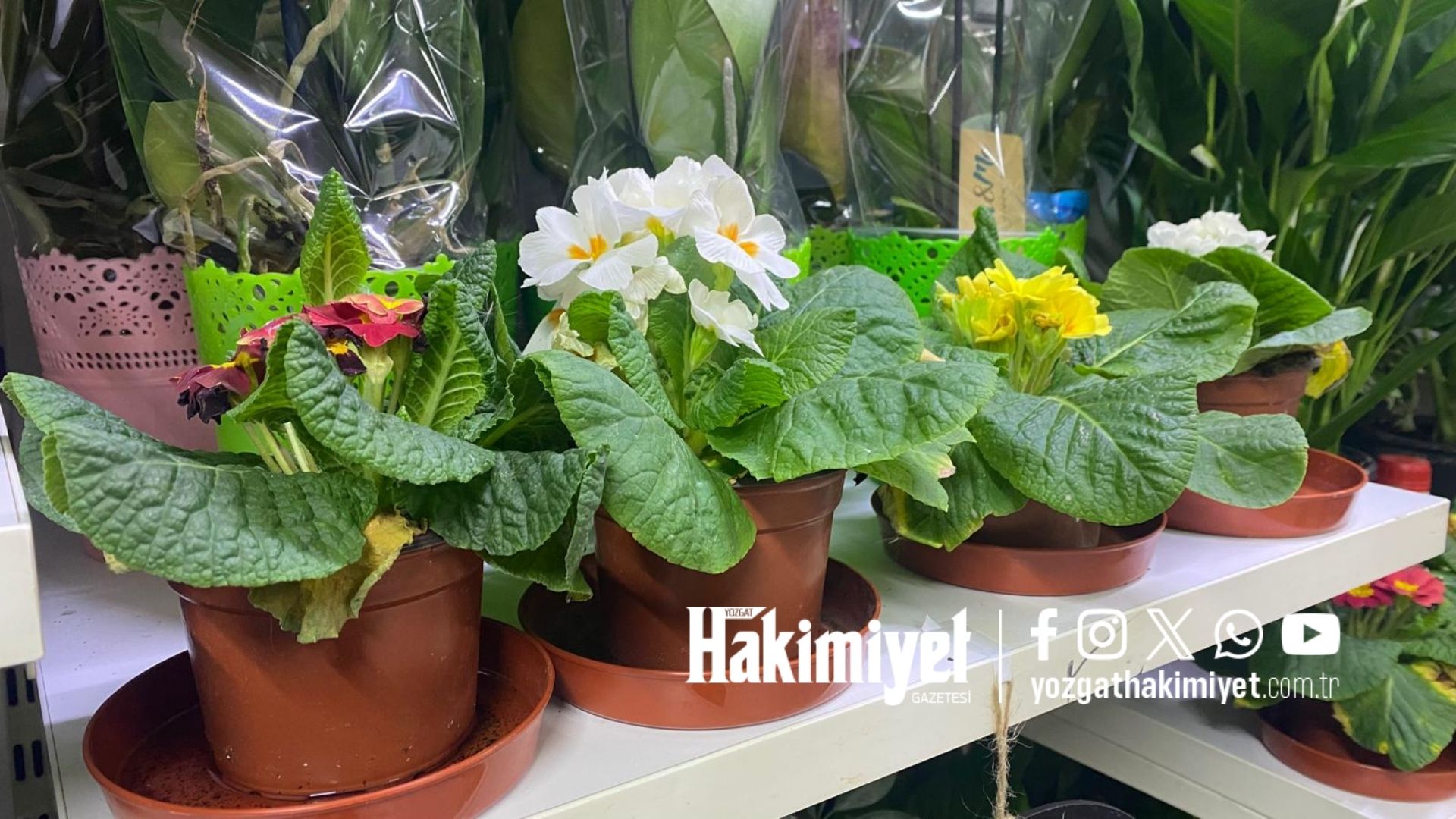 Adsız Tasarım (1)-225