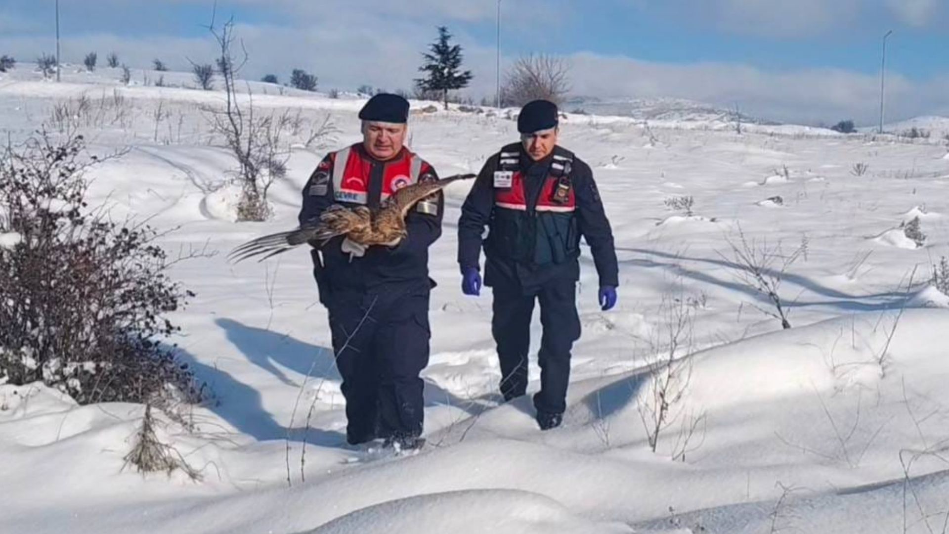 Adsız Tasarım (1)-229