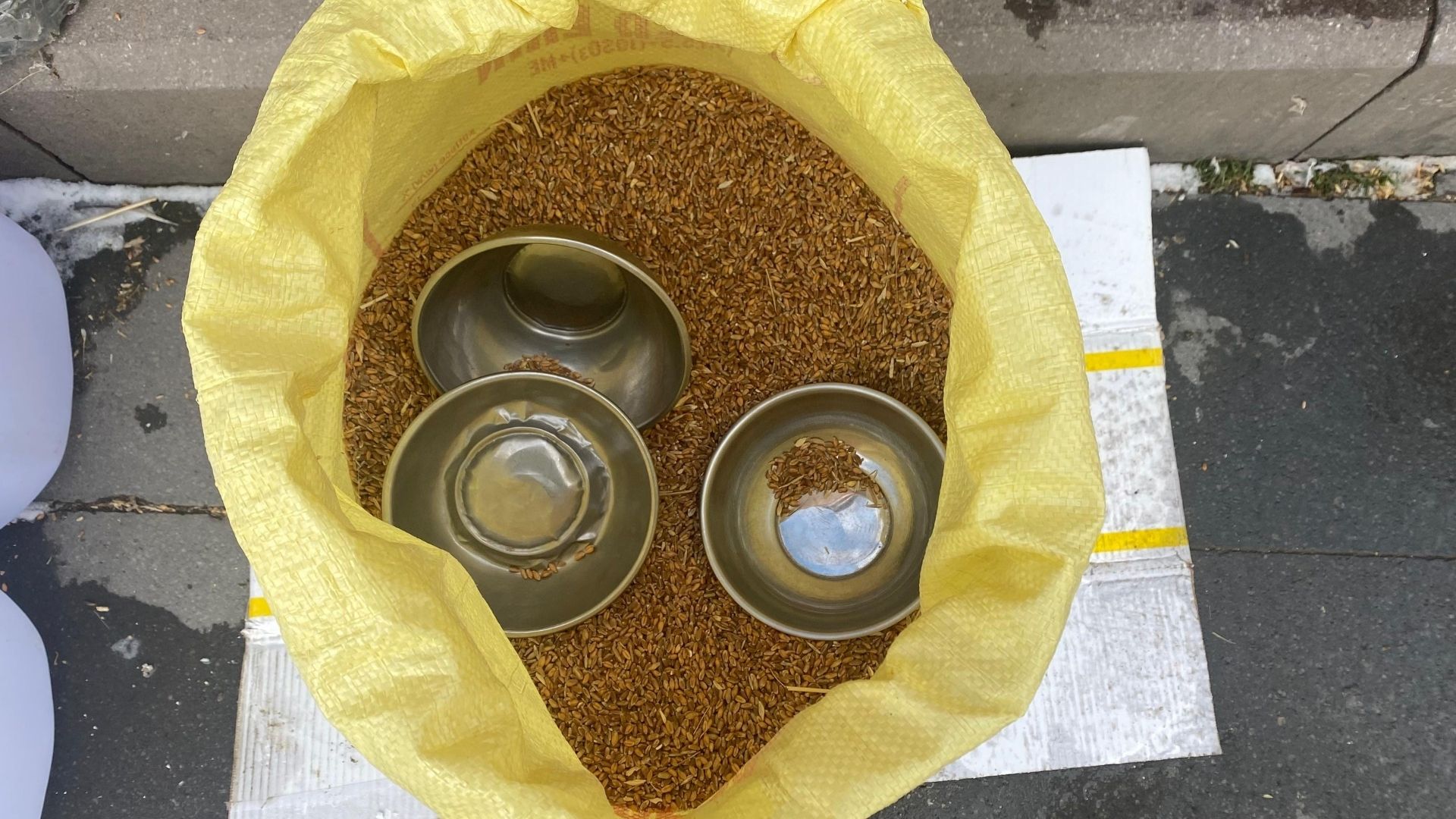 Adsız Tasarım (3)-101