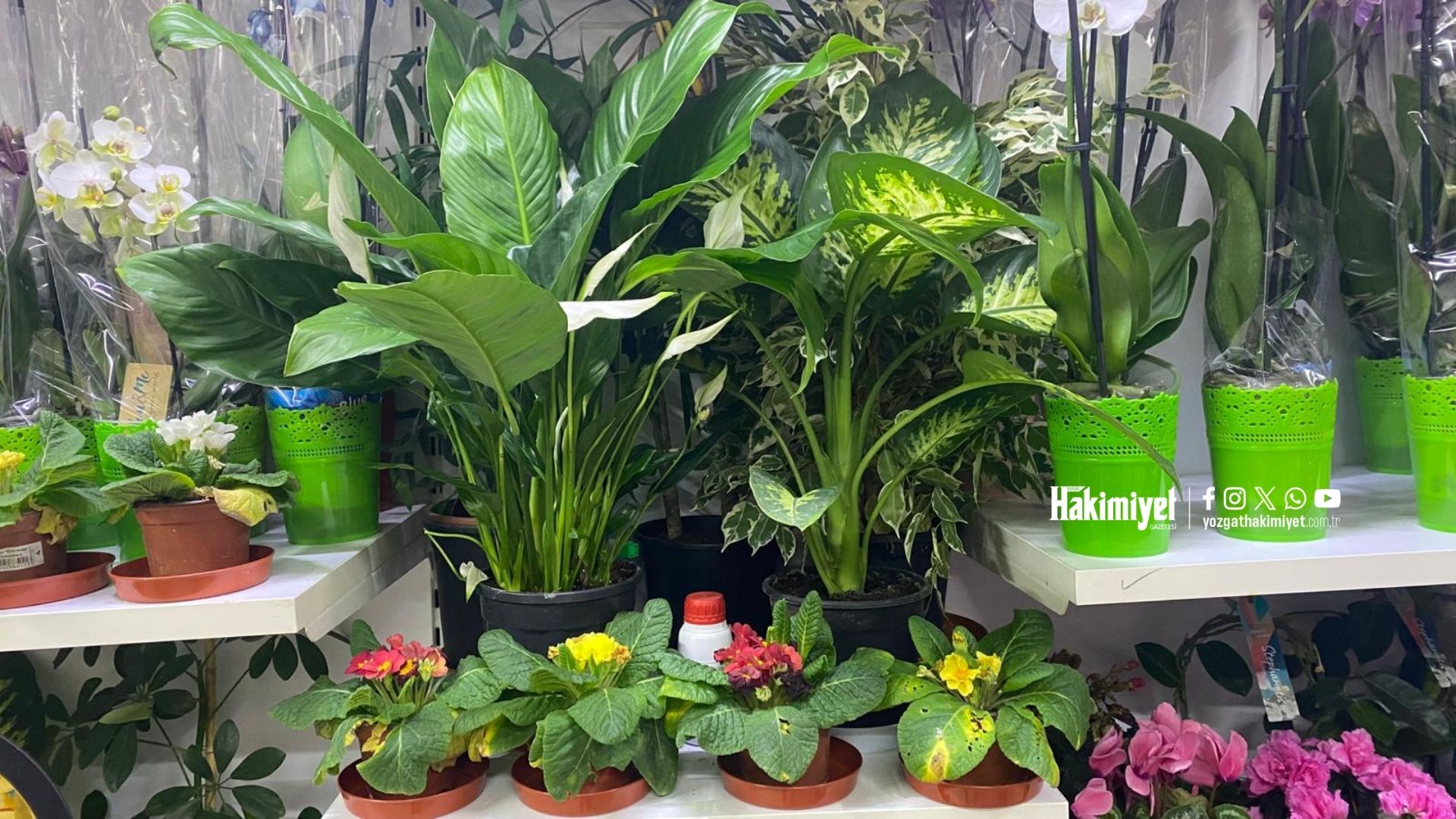 Adsız Tasarım (4)-84