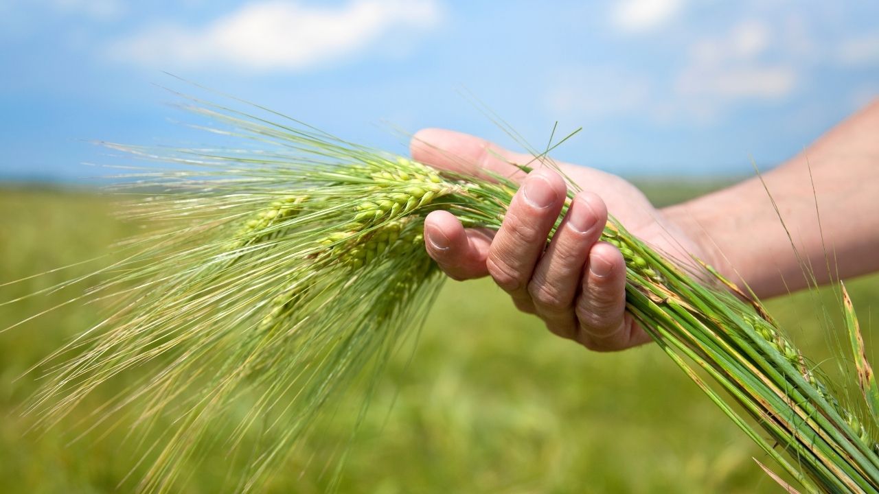 Bakan Yumaklı'dan Çiftçilere Müjde Tarımsal Destek Ödemeleri Yatacak (2)