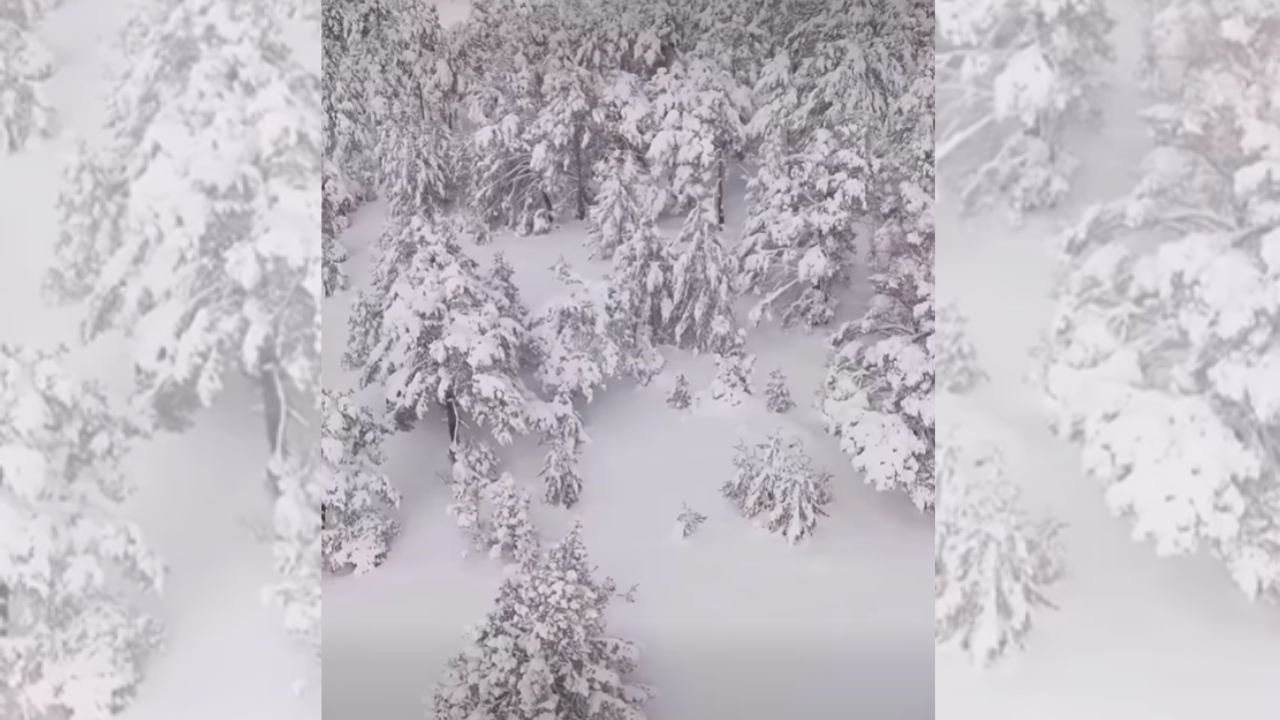 Çayıralan Ormanları Beyaz Örtüyle Kaplandı Ortaya Büyüleyici Manzaralar Çıktı (1)