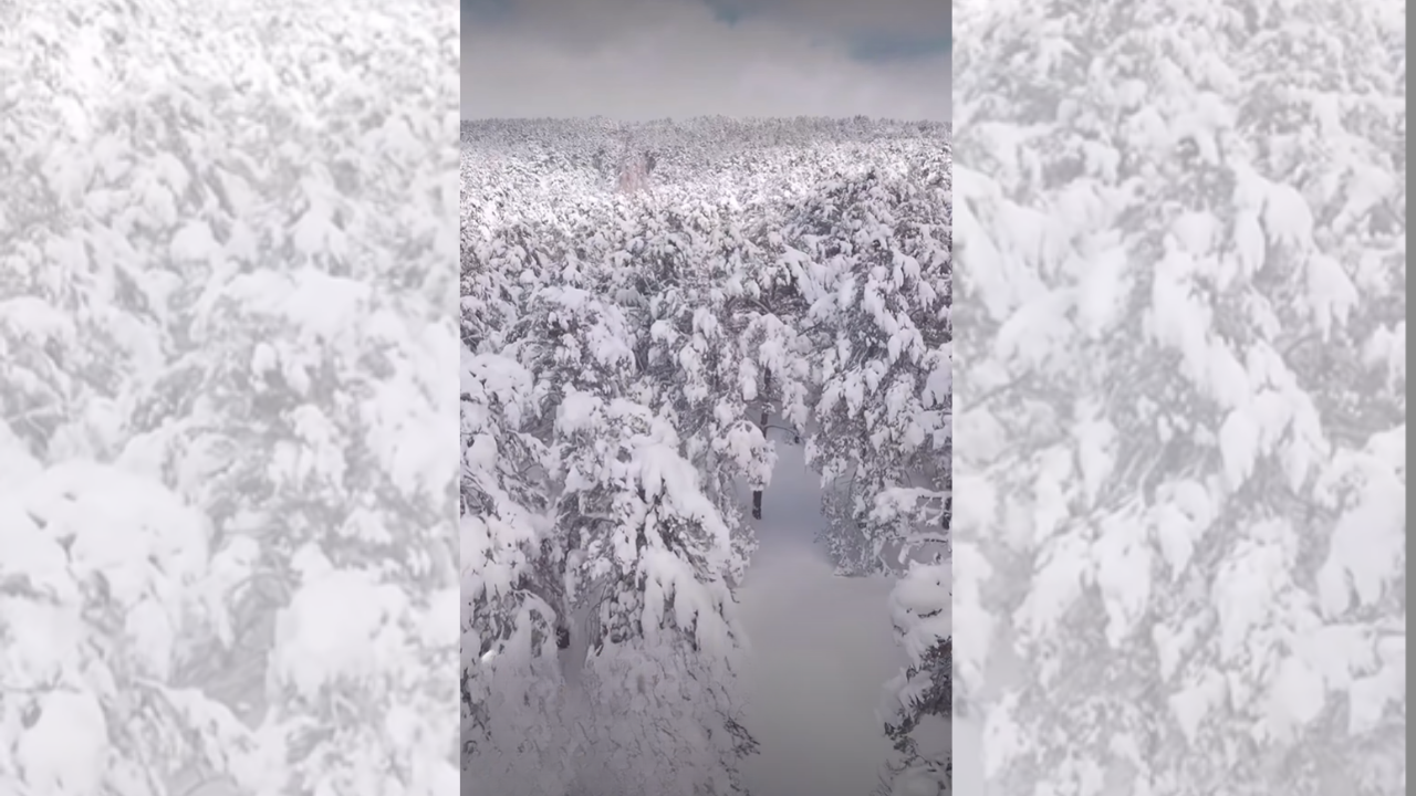 Çayıralan Ormanları Beyaz Örtüyle Kaplandı Ortaya Büyüleyici Manzaralar Çıktı (3)