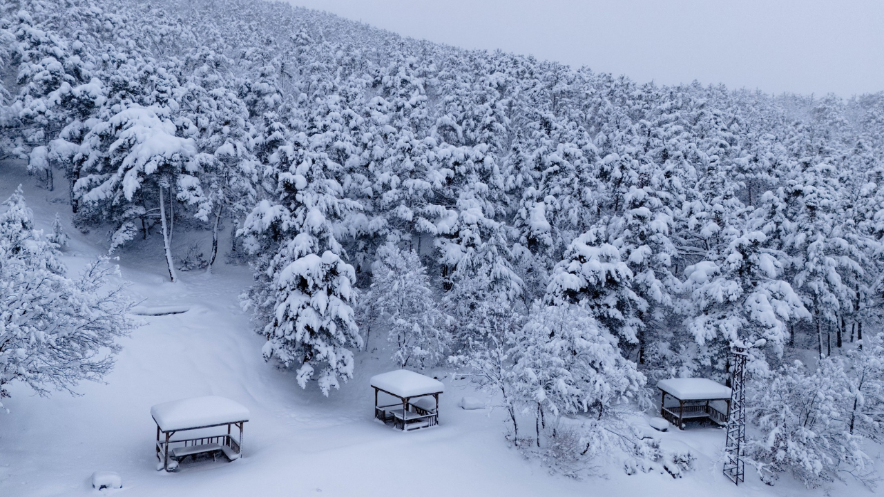 Doğa Beyaza Büründü Kartpostallık Görüntüler Oluşturdu (4)