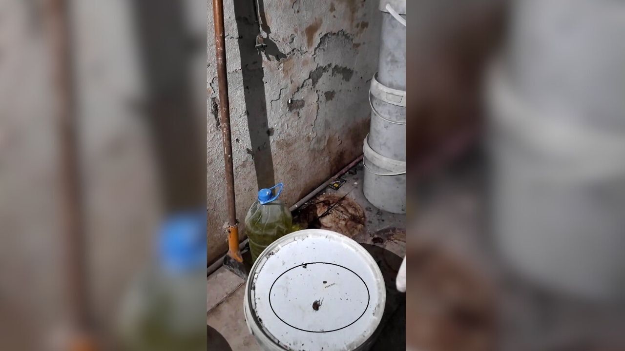 Fırında Mide Bulandıran Görüntü “Fareyi Geçtim, Yılan Çıkacak Diye Korkuyorum”