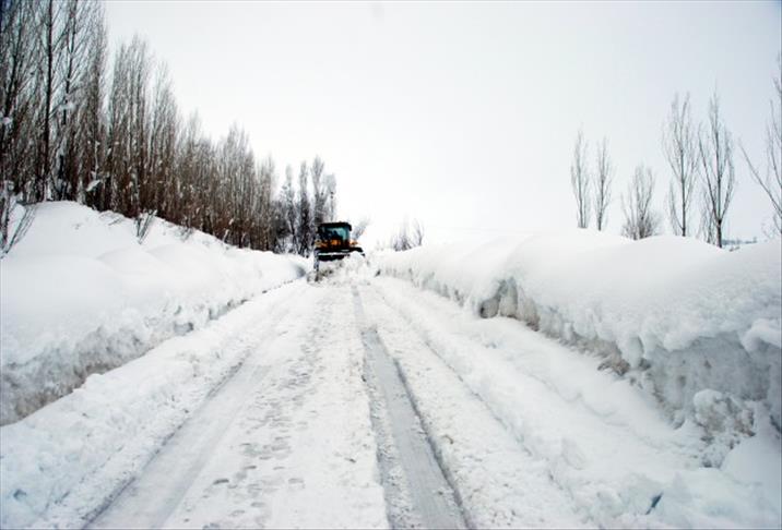 Thumbs B C Bf37F64D9F8223872E7A8E0C28A30684