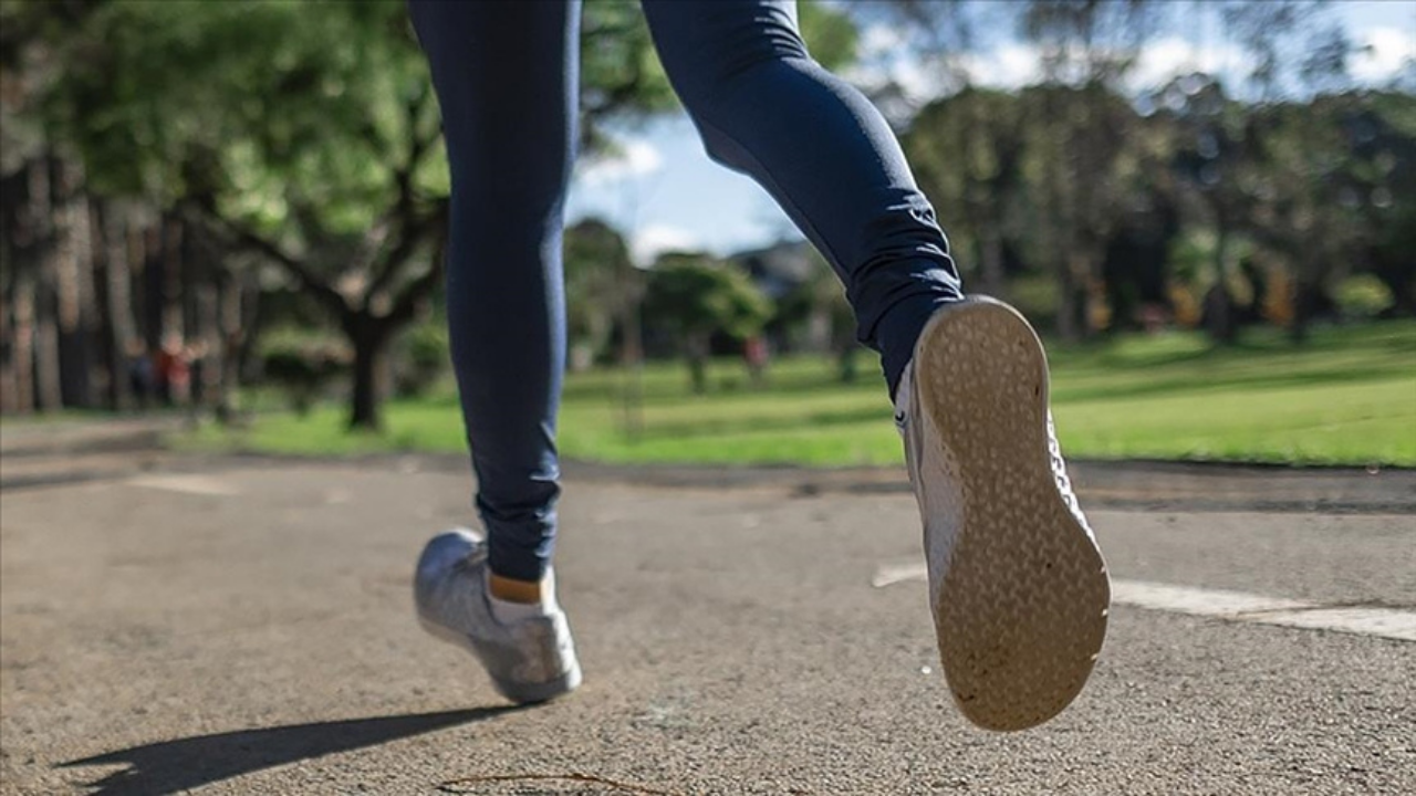 Uzman Diyetisyen Sağlıklı Yaşamın Temel Taşları (2)