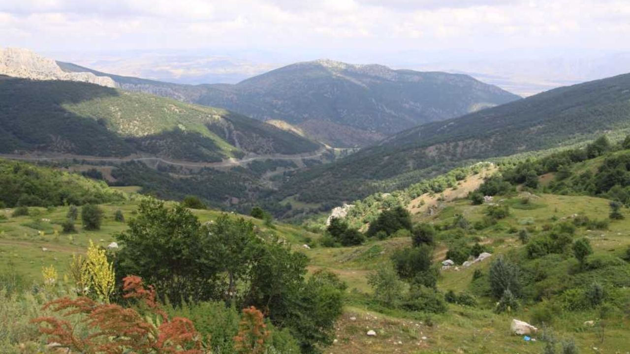 Yozgat Piknik Alanları (3)