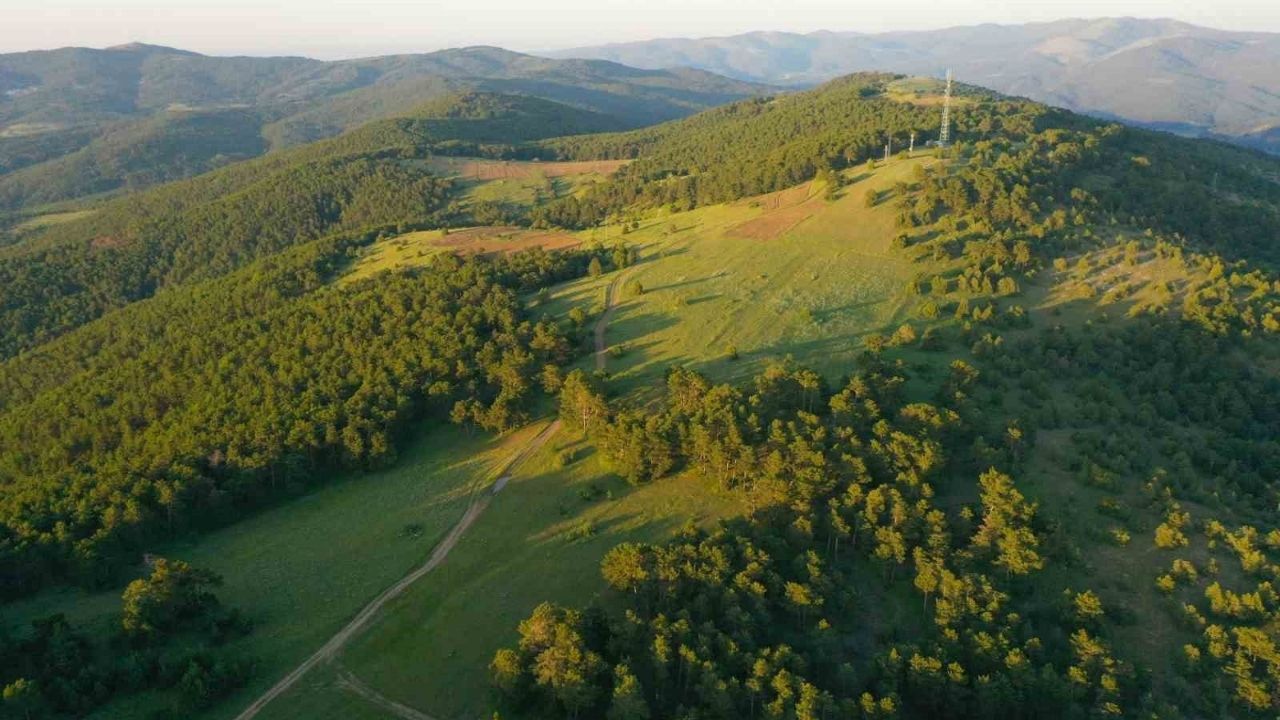 Yozgat Piknik Alanları (5)