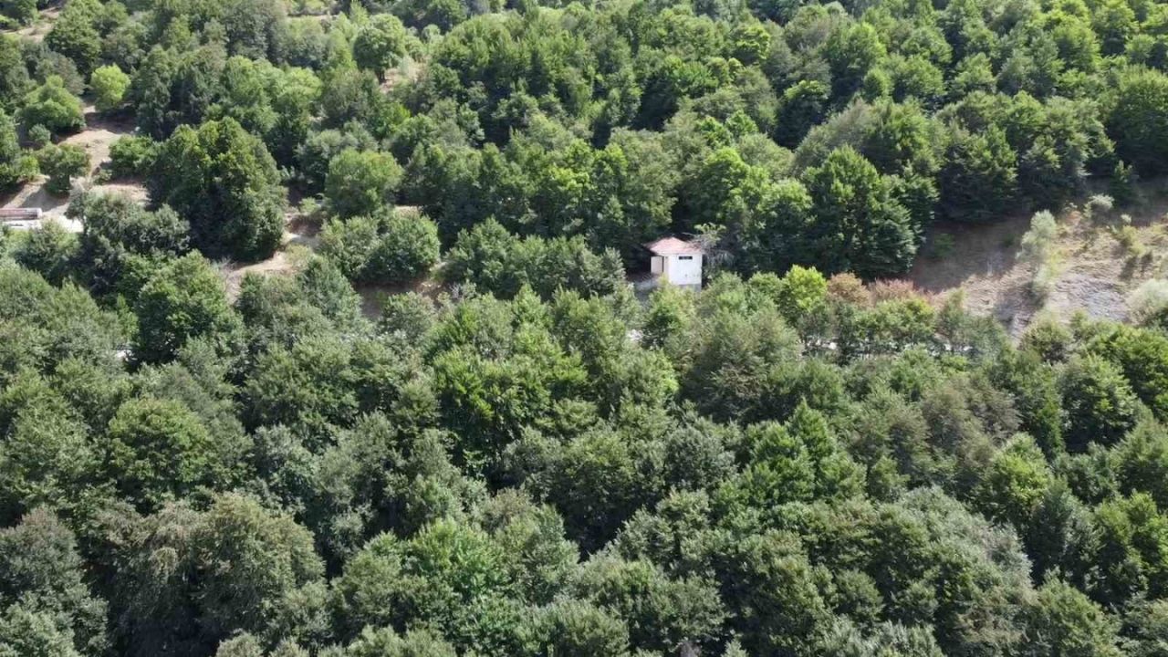 Yozgat'ın Yaylaları (2)