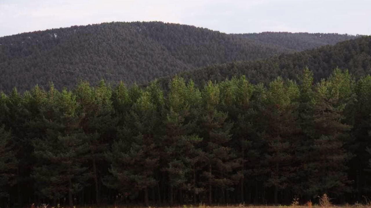 Yozgat'ın Yaylaları (6)