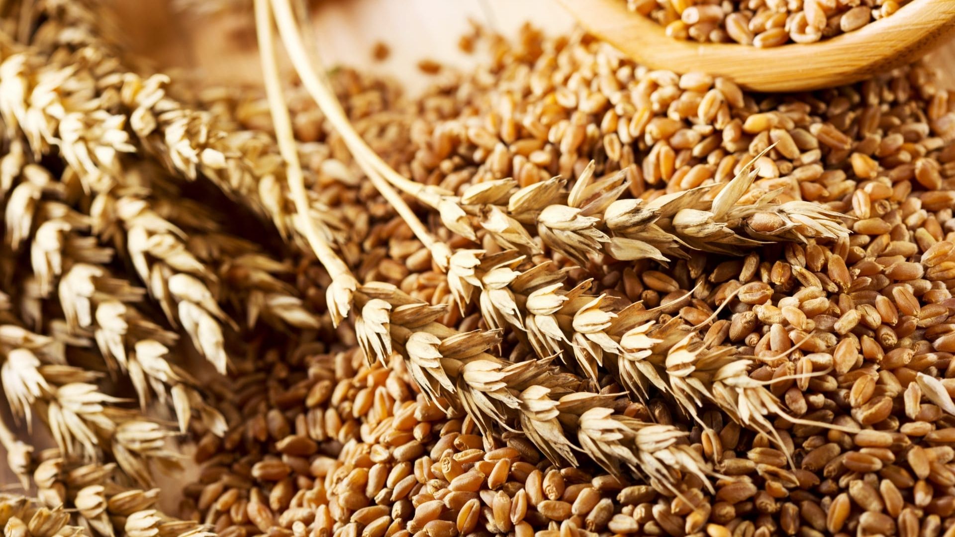 Yozgatlılara Çetin Müdürden Çağrı Hibe Destekleri Arttırıldı! (12)