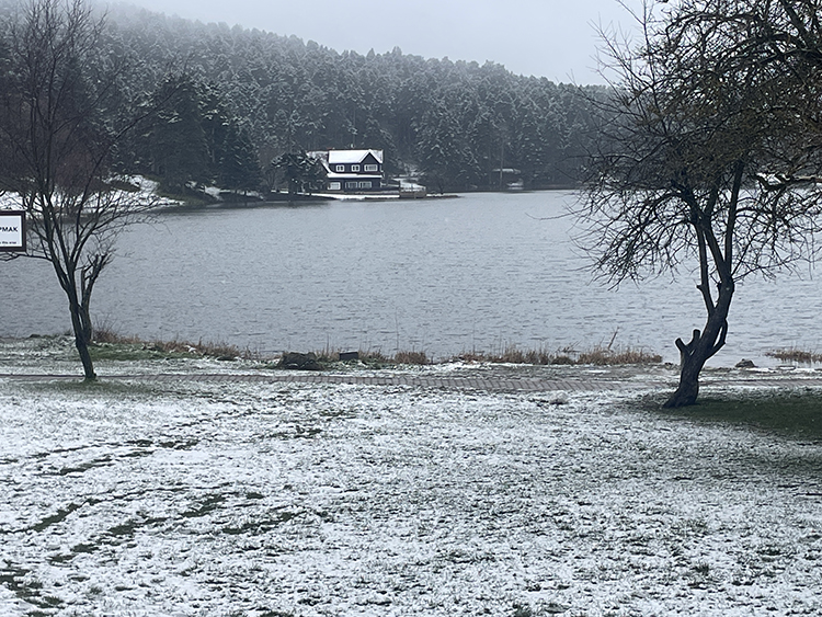 2026 02 22022026 Bolu-1