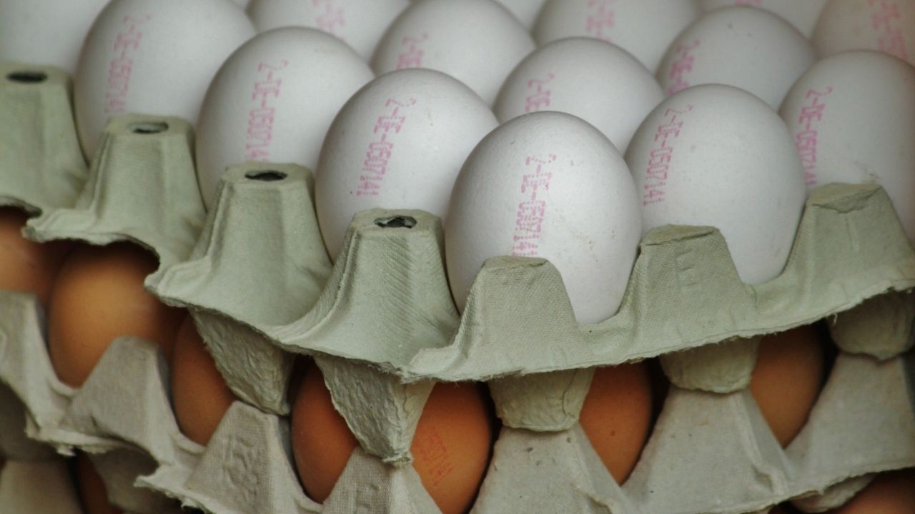 Kişi Başına Düşen Yumurta Sayısı Azaldı (1)