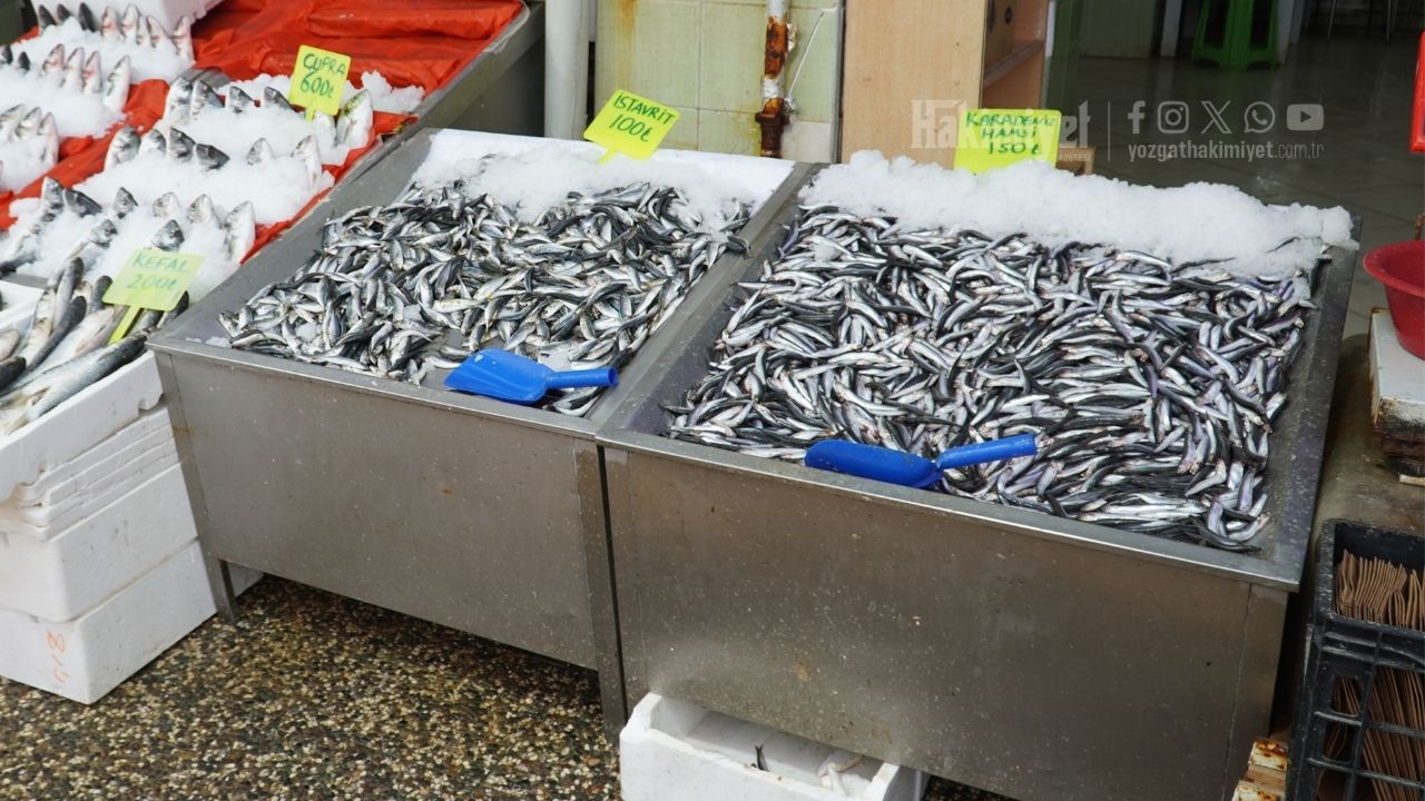 Ramazan Bereketi Balık Satışlarını Artırdı (3)