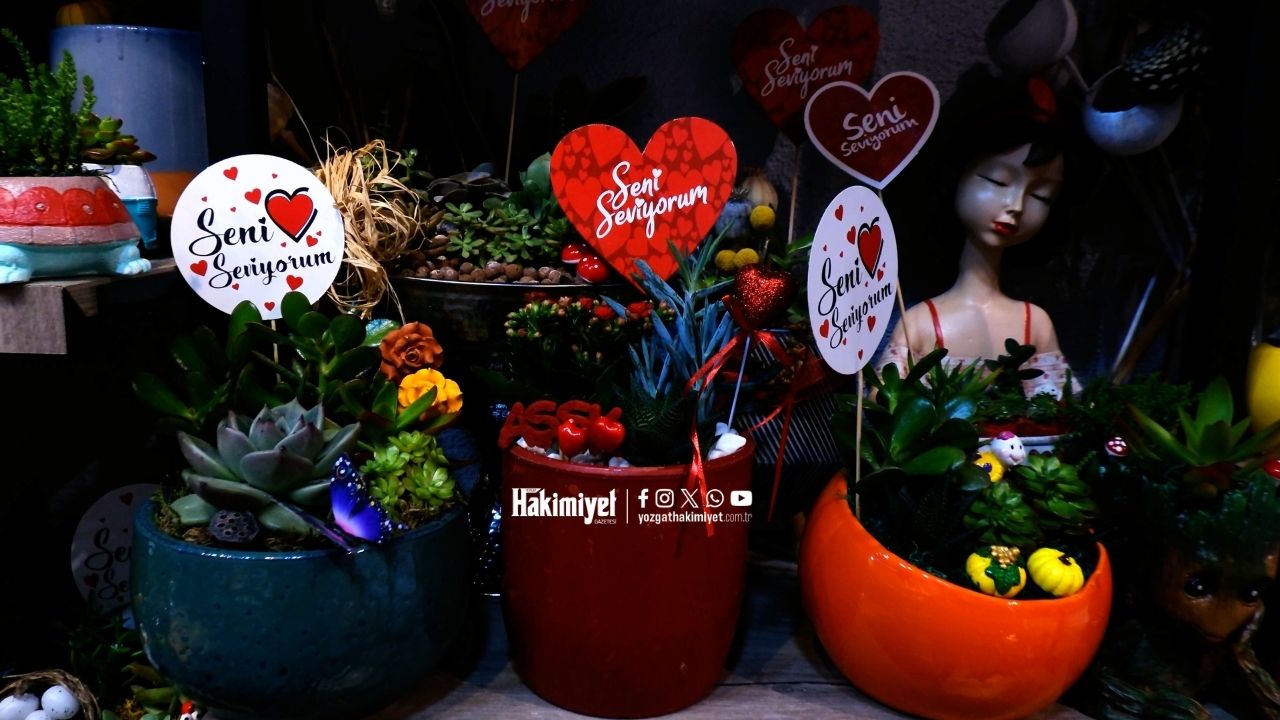 Sevgililer Günü (3)