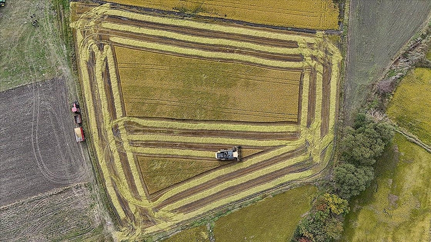 Thumbs B C C63984A45047061A2906103404B22Fbd