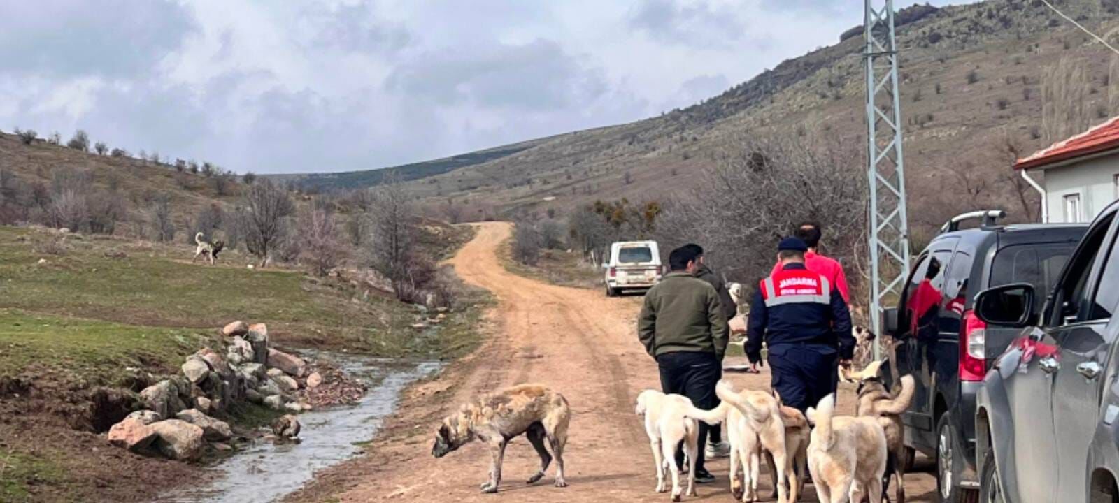 Yozgat'ta Hayvan Bakım Alanı Denetlendi