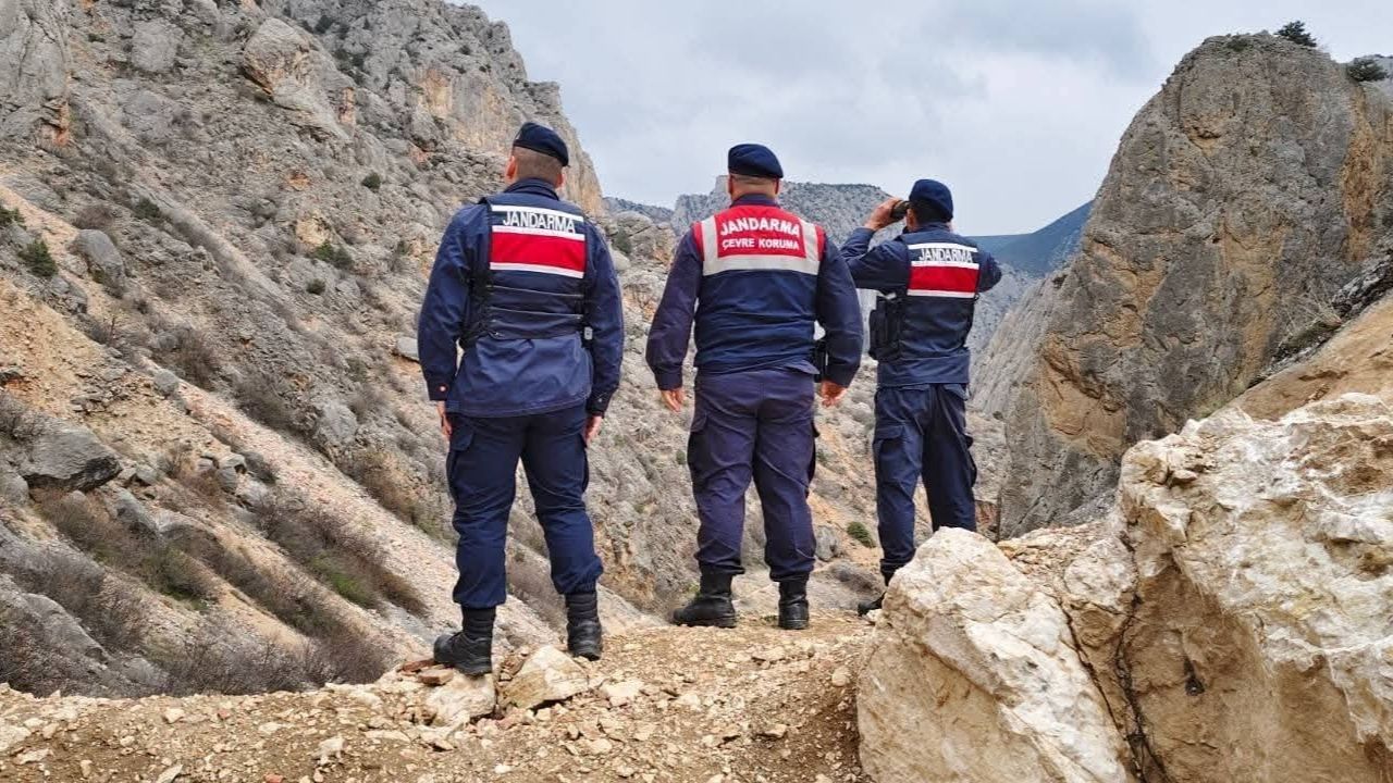 Yozgat’ta Yaban Hayatını Gözetim Altında (4)