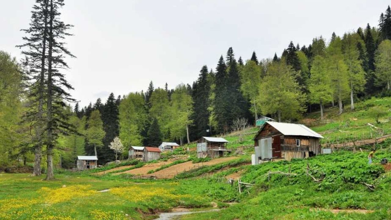 Adsız Tasarım 2026 03 14T165712.085