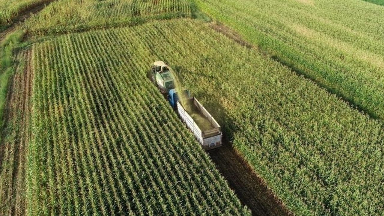 Adsız Tasarım 2026 03 27T165150.811