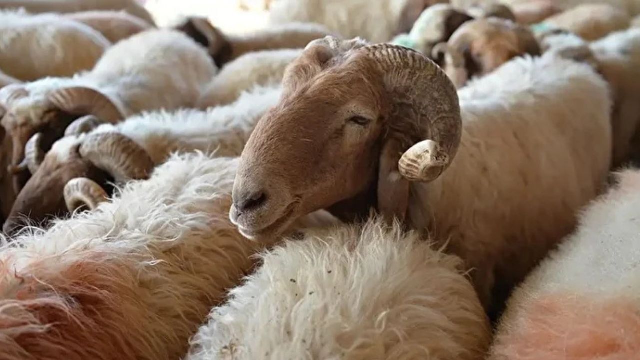 Adsız Tasarım 2026 03 27T165803.811