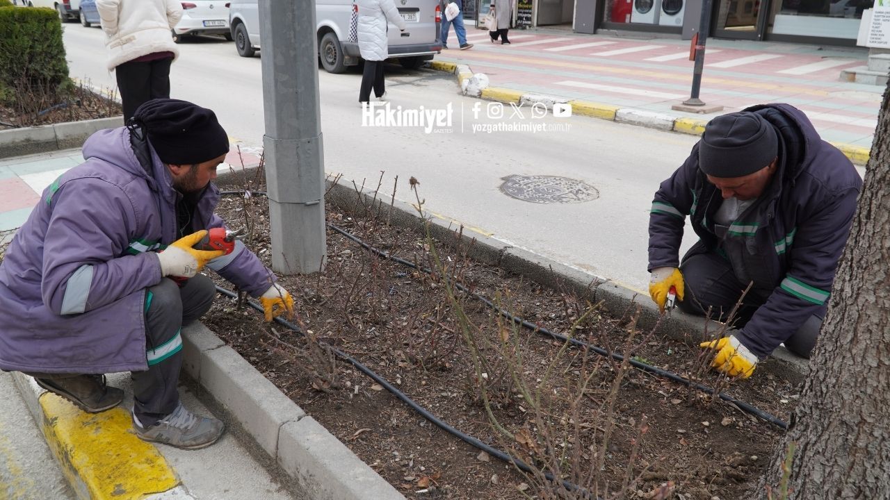 Bahar Yozgat’ta Hayat Buluyor Park Ve Sokaklar Titizlikle Bakıma Alındı (3)