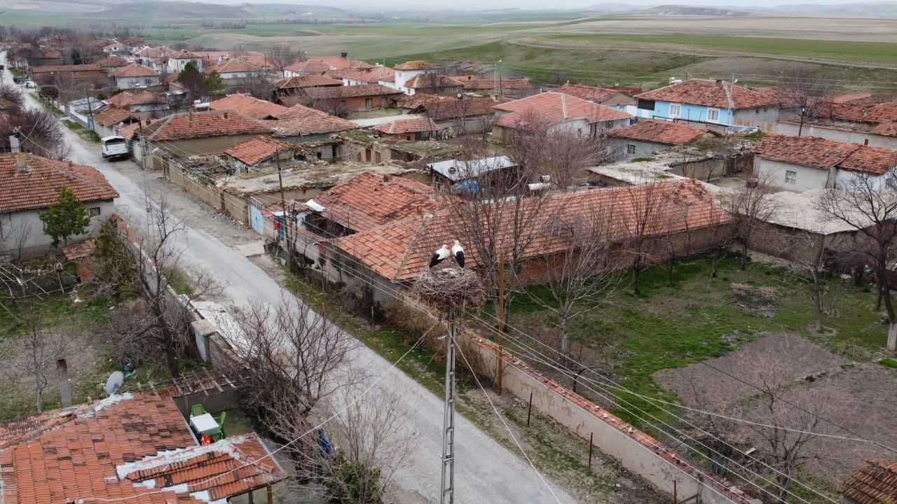 Baharın Habercisi Yozgat’ta Leylekler Yuvalarına Döndü (3)