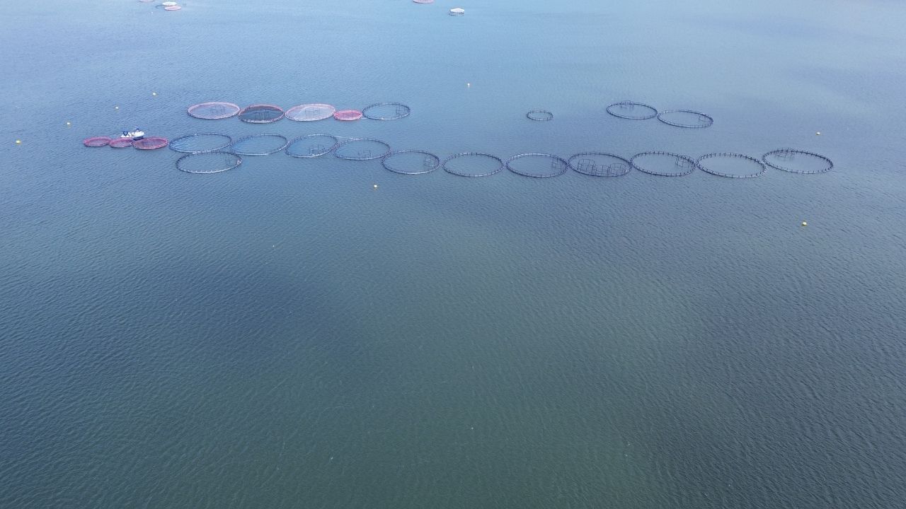 Çekerek Sürayyabey Barajı’nda Sevindirici Gelişme Doluluk Yüzde 42,7'Ye Ulaştı (1)