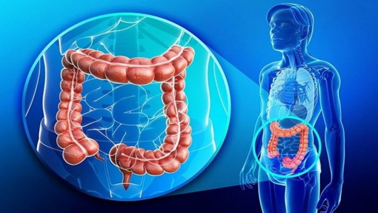 Erken Teşhisle Hayat Kurtaran Tarama Yozgat’ta Hedefe Yüzde 85 Ulaşıldı (5)