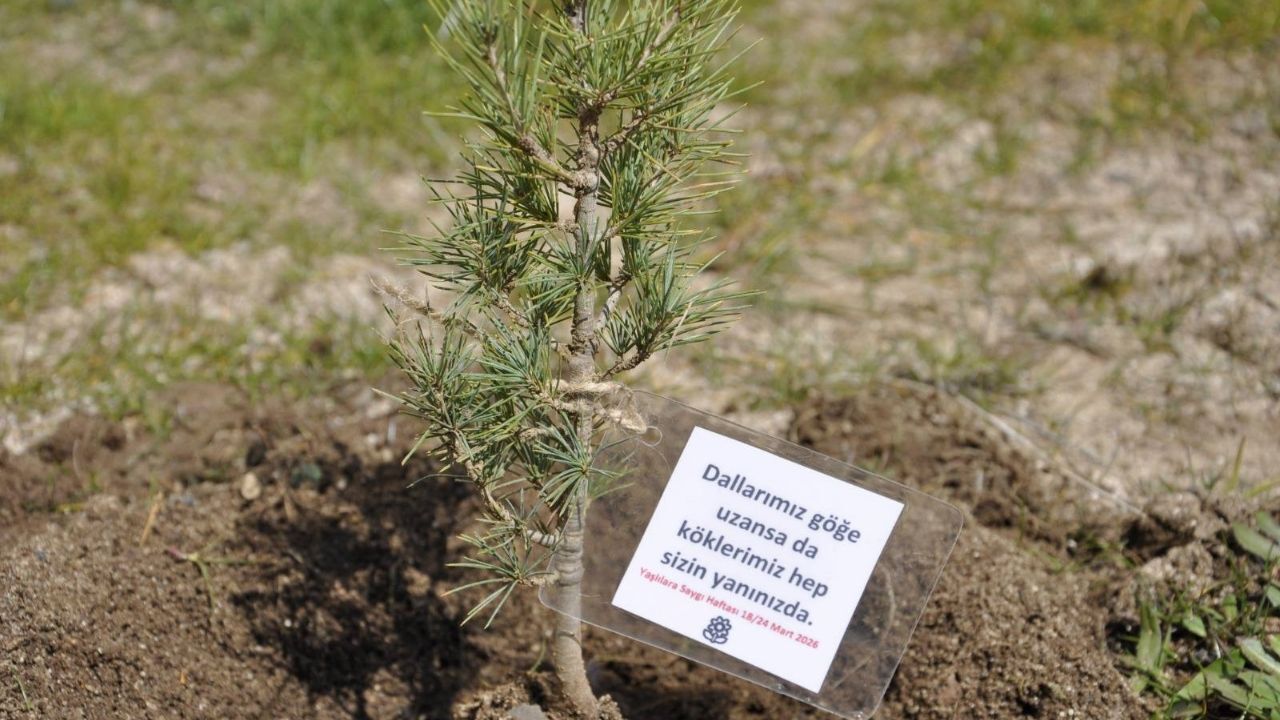 Geleceğe Nefes, Çınarlara Saygı Yozgat’ta Fidanlar Toprakla Buluştu (3)