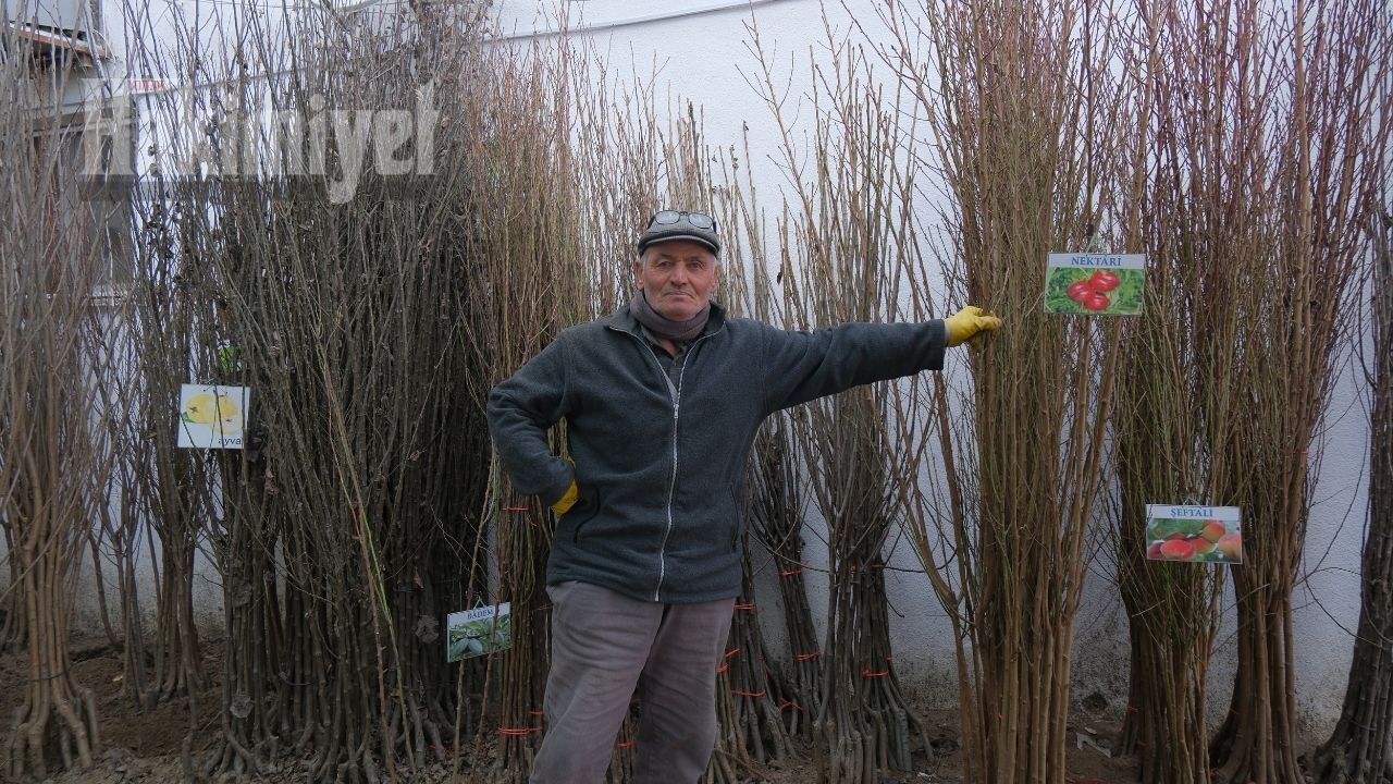 İlkbaharla Birlikte Hareket Başladı Yozgat’ta Fidan Satışlarında Yeni Dönem Başladı (1)
