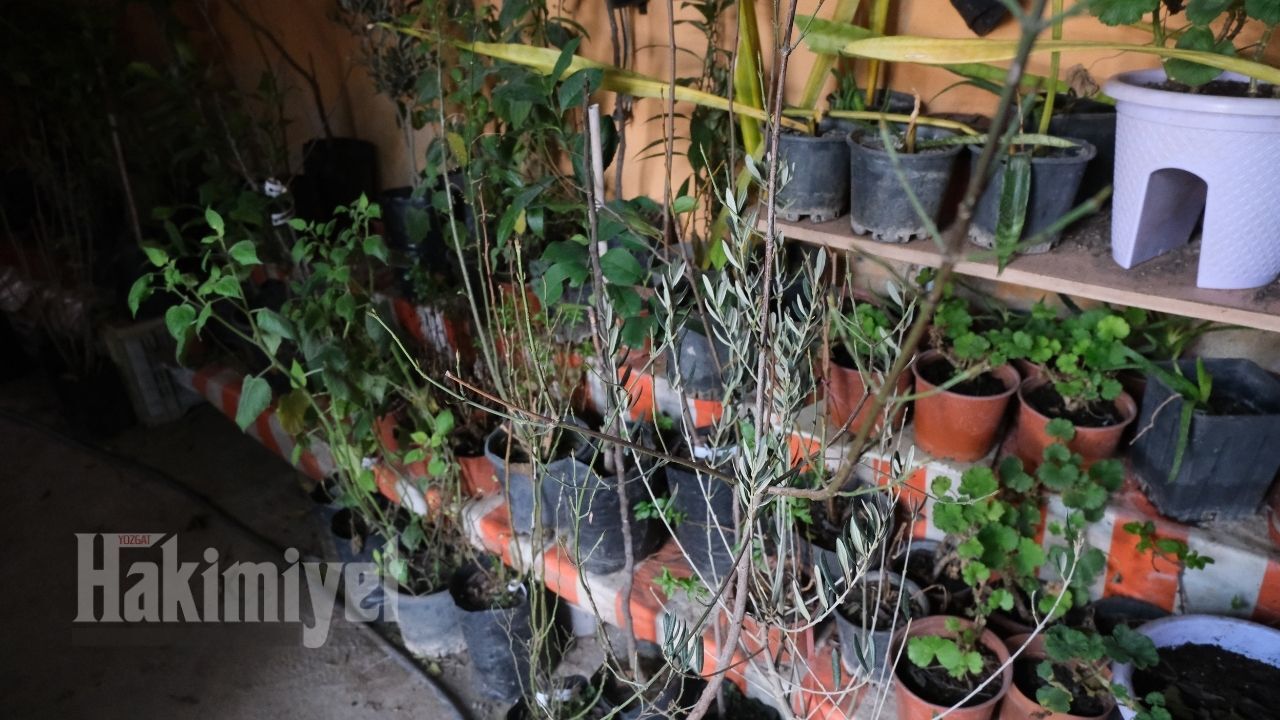 İlkbaharla Birlikte Hareket Başladı Yozgat’ta Fidan Satışlarında Yeni Dönem Başladı (2)