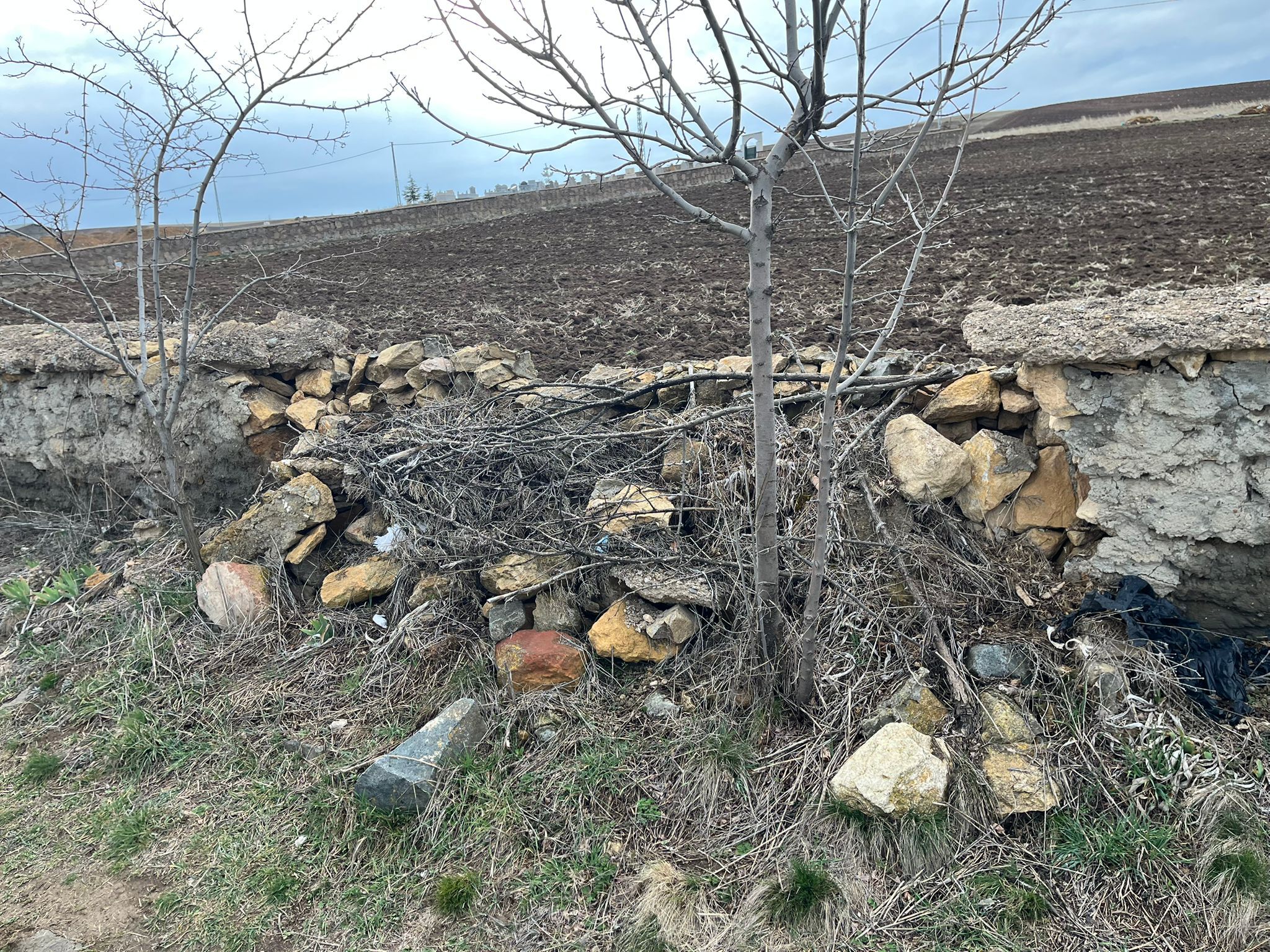 Yozgat Divanlı Mahallesi Hizmet Bekliyor2