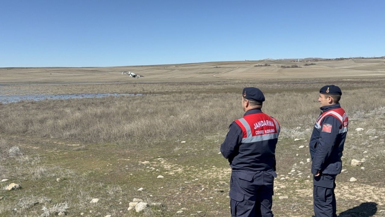 Yozgat Gelingüllü Barajı’nda Jandarma Kuşların Koruyucusu Oldu (2)