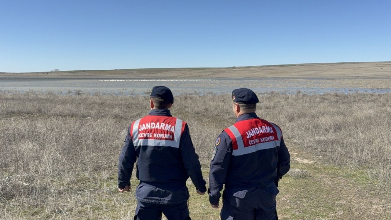 Yozgat Gelingüllü Barajı’nda Jandarma Kuşların Koruyucusu Oldu (3)