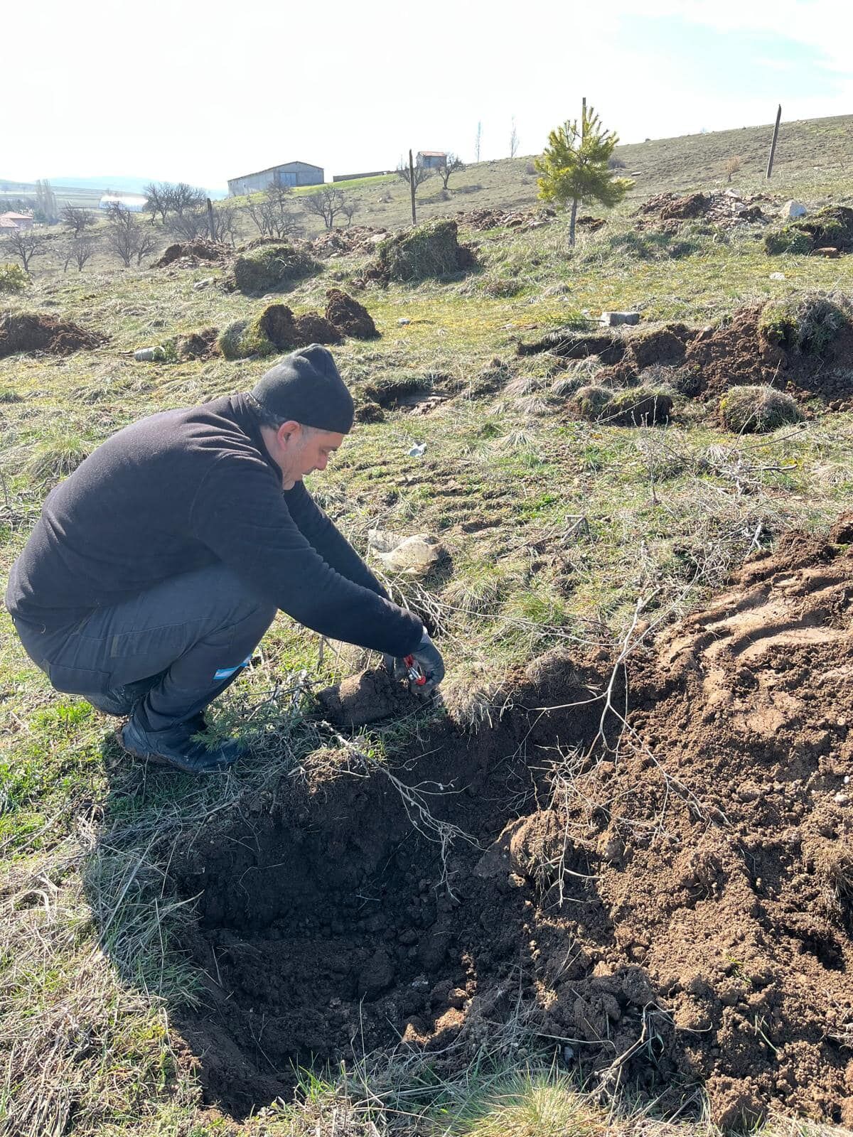 Yozgat'a Bahar Geldi, Fidanlar Toprakla Buluşuyor1