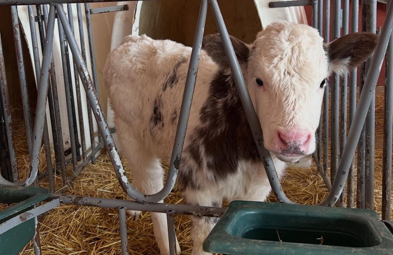 Yozgat'ın İlçelerinde Kontroller Devam Ediyor2