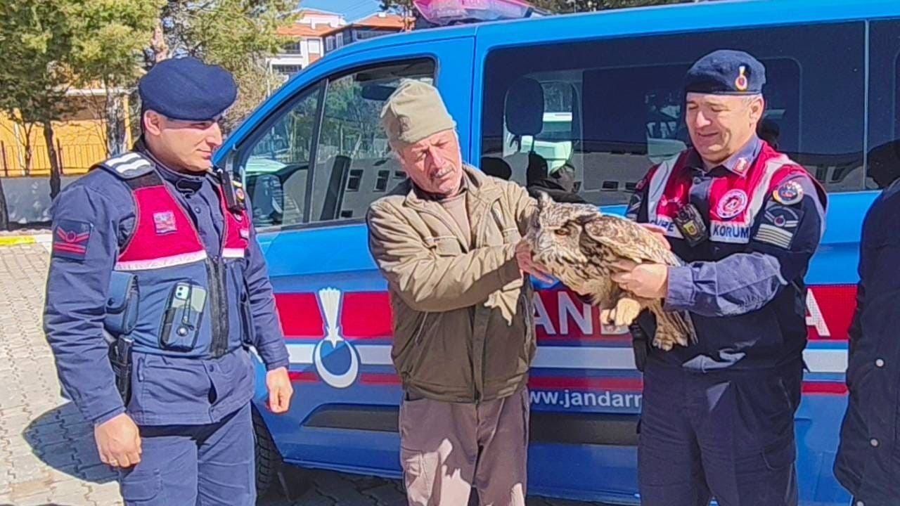Yozgat’ta Dikkat Çeken İhbar Doğada Bulunan Canlı İçin Ekipler Harekete Geçti (3)