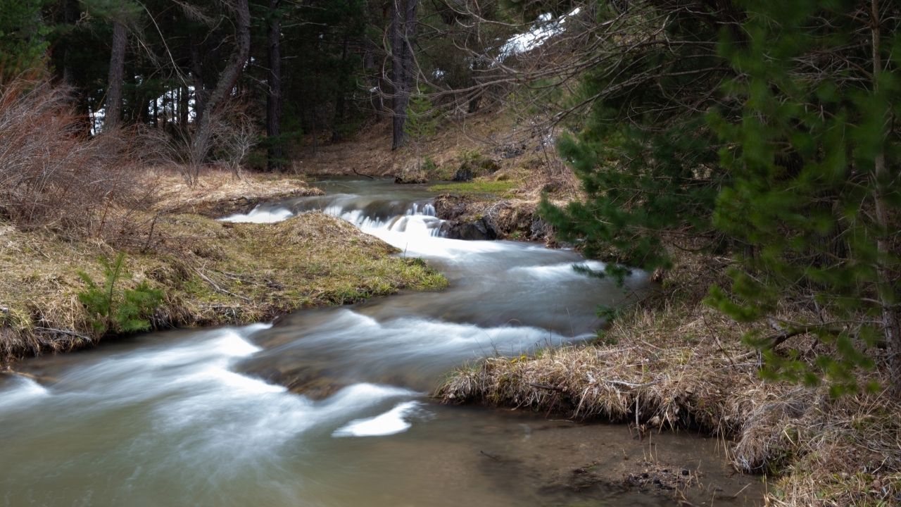 Yozgat’ta Doğa Canlandı Baharın Renkleri Her Yeri Süsledi (4)