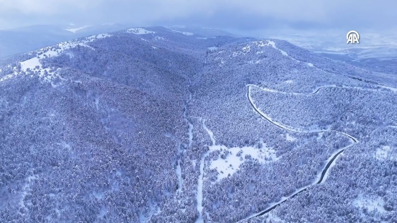 Yozgat’ta Karla Kaplanan Ormanlar Dronla Görüntülendi (5)