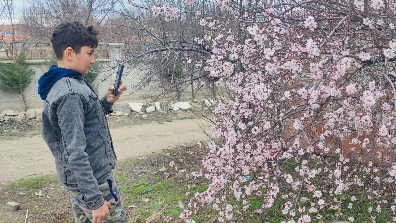 Yozgat’ta Mevsimler Karıştı Meyve Ağaçları Erken Çiçek Açtı (3)