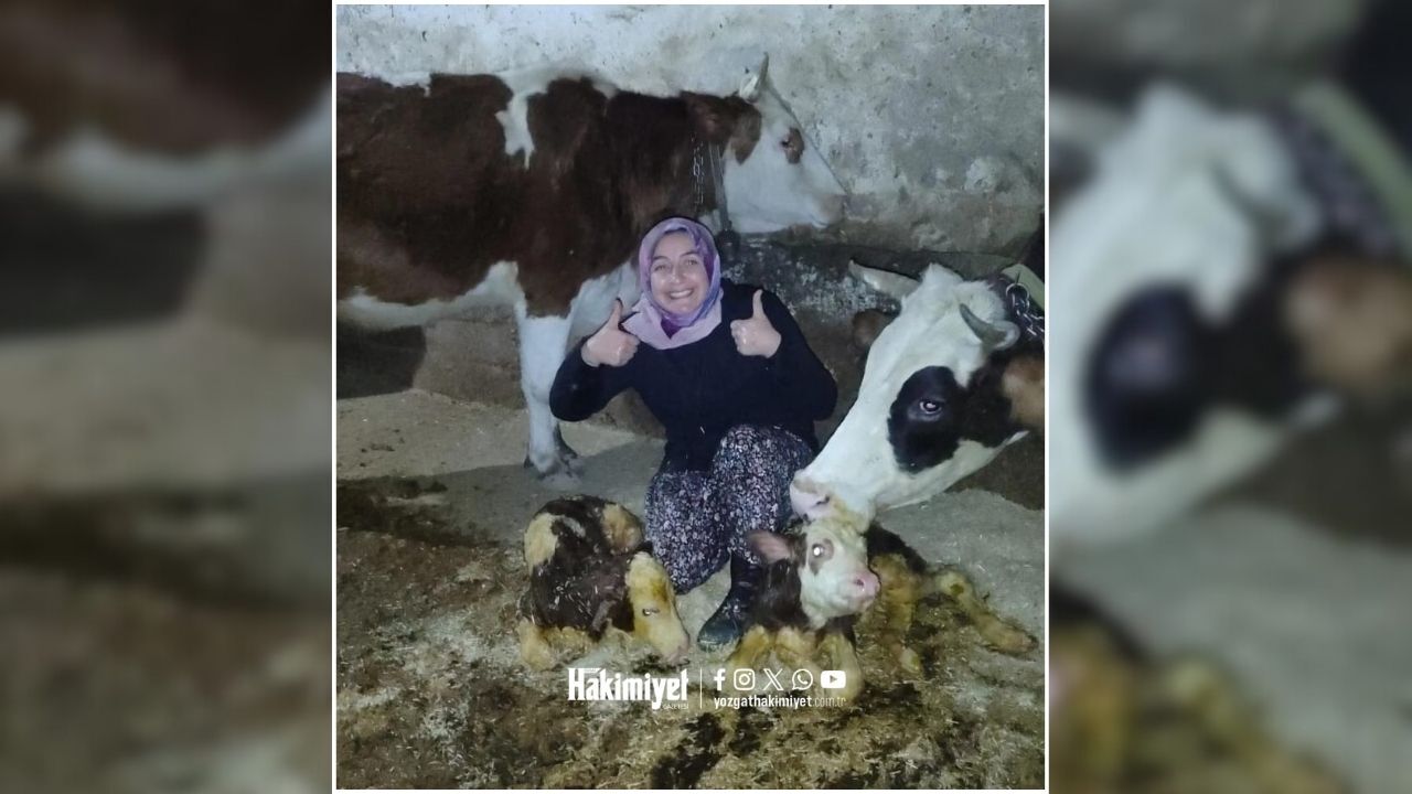 Yozgat’ta Mucize Gibi Dokunuş Engelli Buzağıya Umut Oldu (1)-1