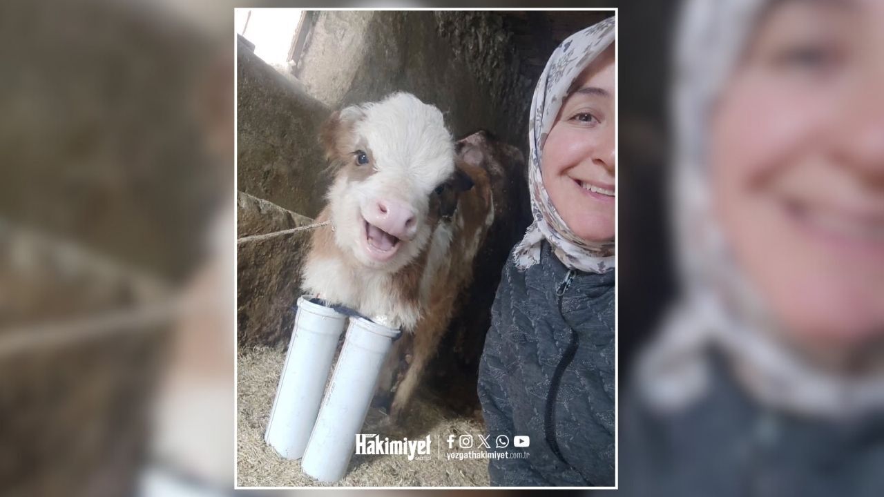 Yozgat’ta Mucize Gibi Dokunuş Engelli Buzağıya Umut Oldu (3)