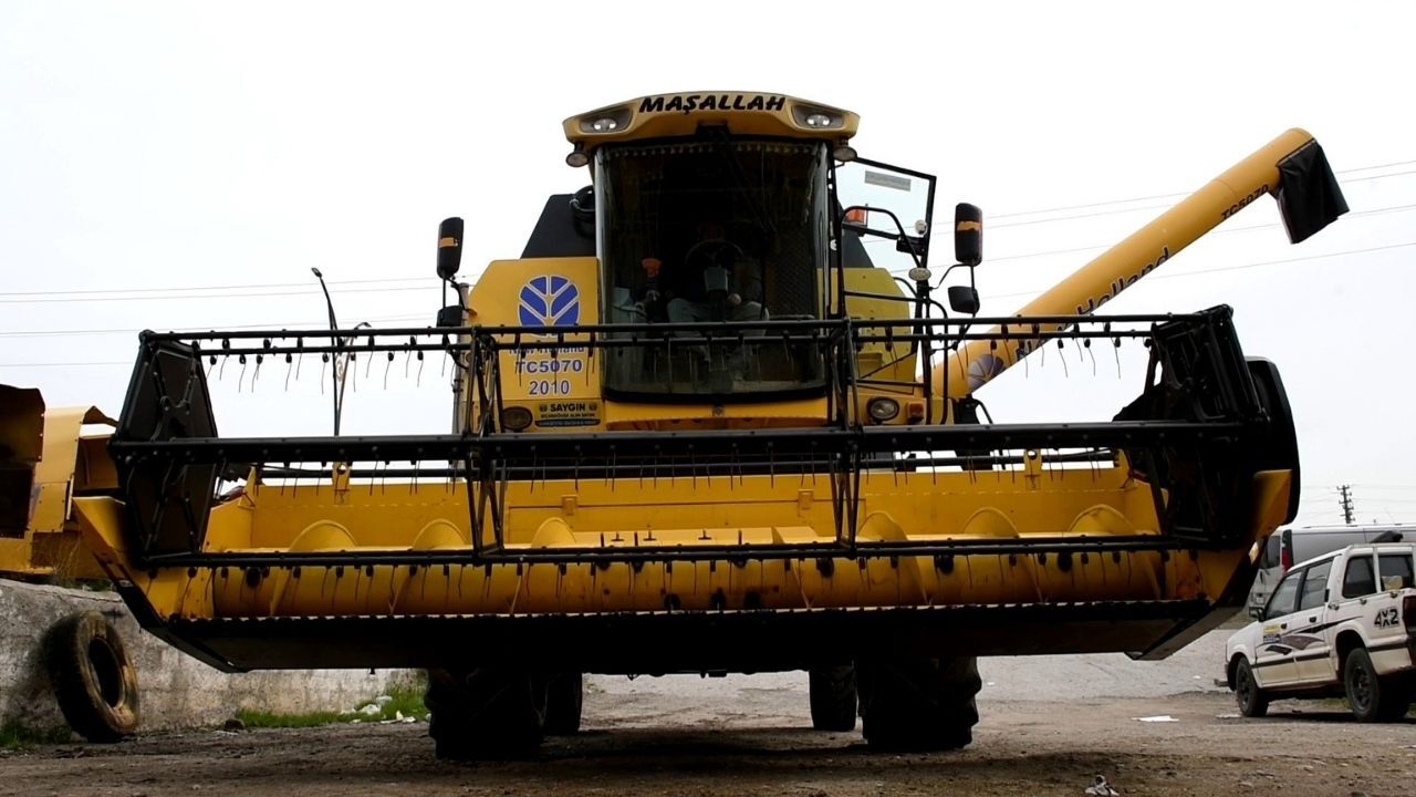Yozgat’ta Sarı Devler İçin Hasat Zamanı Yaklaştı (1)